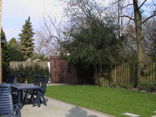 BackYard.JPG