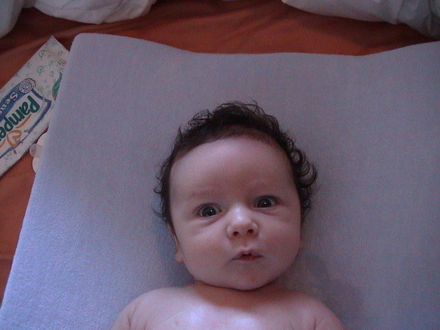 Dsc00385.jpg