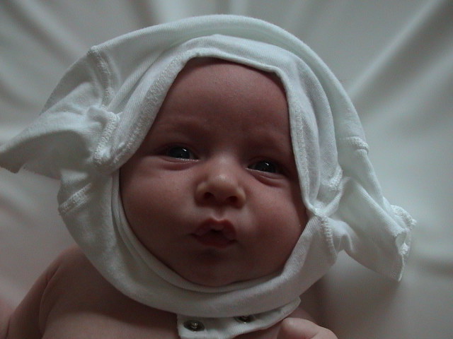 Dsc00440.jpg