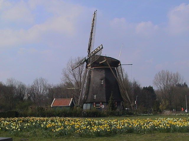 Molen2.JPG